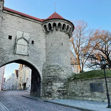 15th Century Flat With Parking, High Ceilings * Tallinn