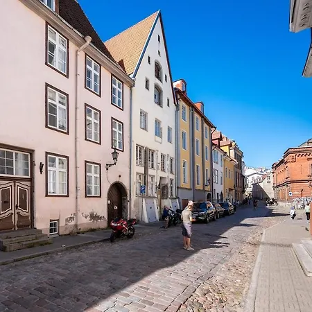 Apartman 15th Century Flat With Parking, High Ceilings *